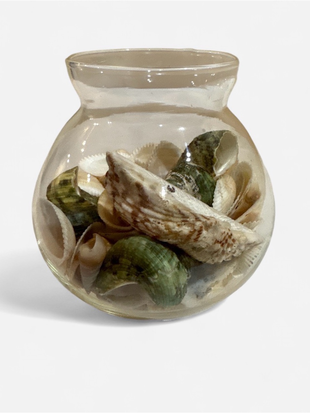 Decorative Glass Bowl with Natural Seashells - Green and Cream Accent
